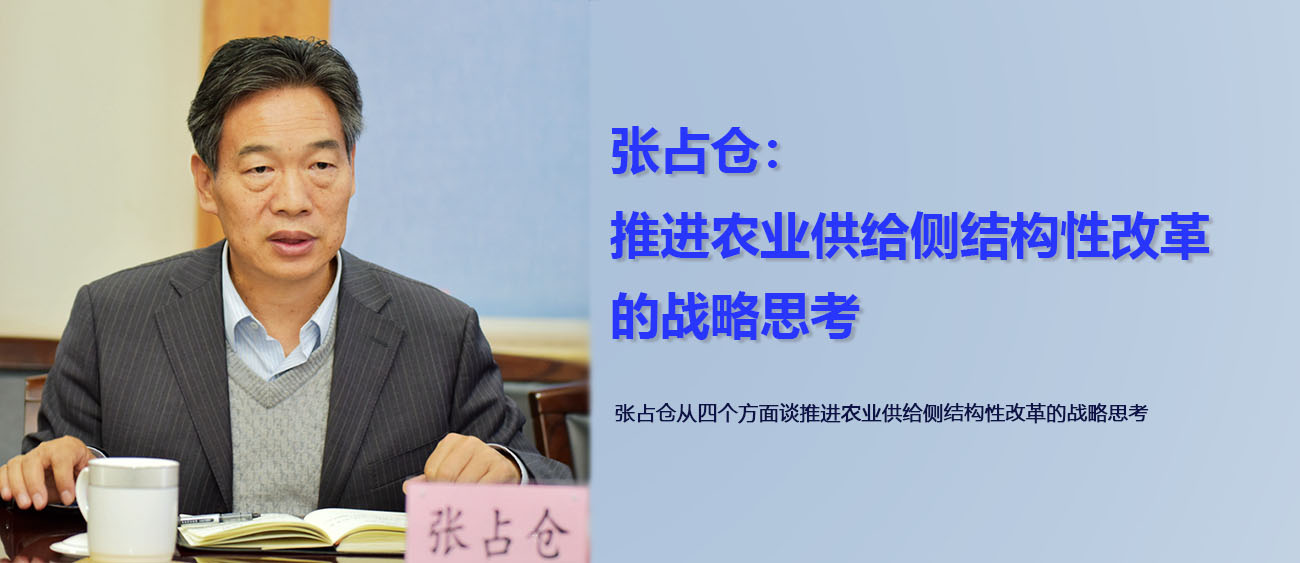张占仓：推进农业供给侧结构性改革的战略思考