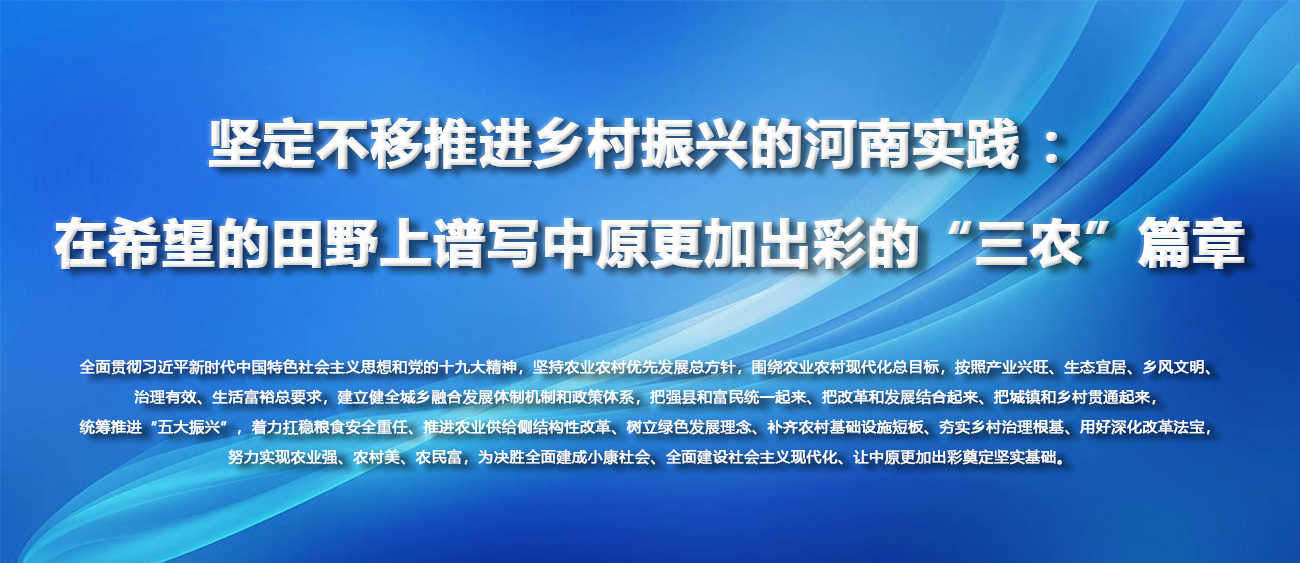 坚定不移推进乡村振兴的河南实践 ：在希望的田野上谱写中原更加出彩的“三农”篇章