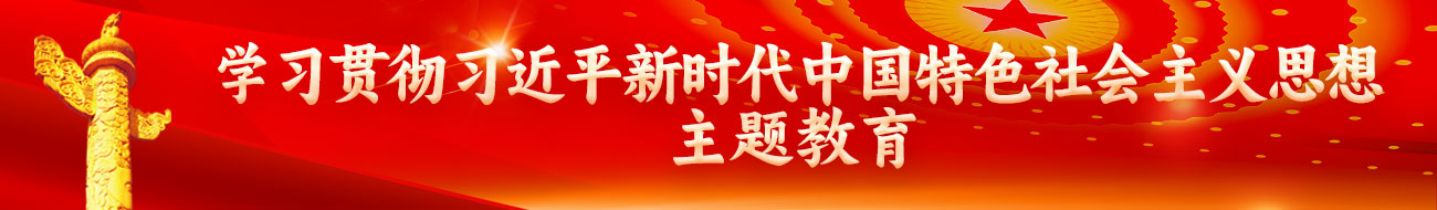 学习贯彻习近平新时代中国特色社会主义思想主题教育