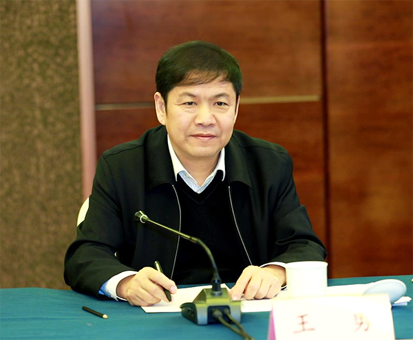 院党委书记王勇主持论证会-网站.jpg