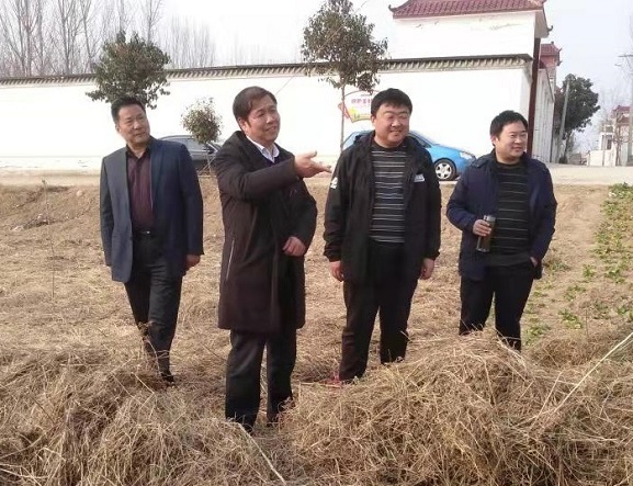 网站2.jpg